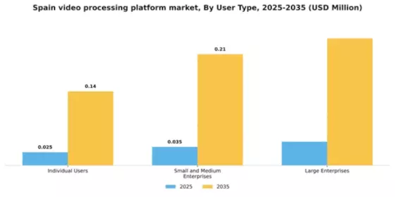 Spain Video Processing Platform Market Segment Image 4