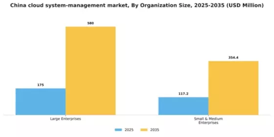 China Cloud System Management Market Segment Image 2