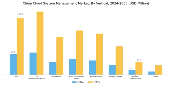 China Cloud System Management Market Segment Image 3