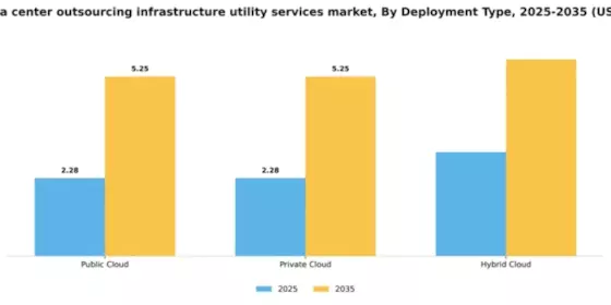 China Data Center Outsourcing Infrastructure Utility Services Market Segment Image 0