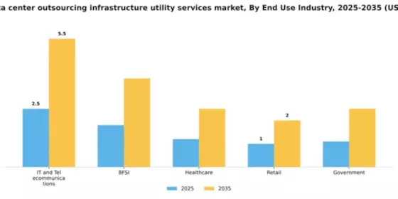 China Data Center Outsourcing Infrastructure Utility Services Market Segment Image 1