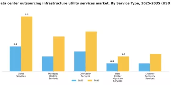 China Data Center Outsourcing Infrastructure Utility Services Market Segment Image 3
