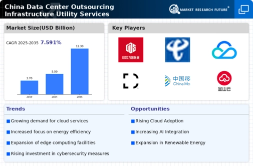 China Data Center Outsourcing Infrastructure Utility Services Market Infographic
