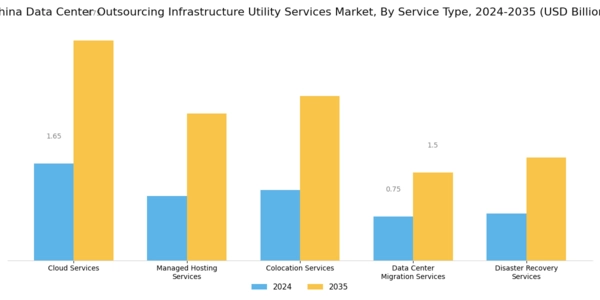 China Data Center Outsourcing Infrastructure Utility Services Market Segment Image 0