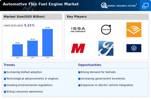 Automotive Flex Fuel Engine Market Infographic