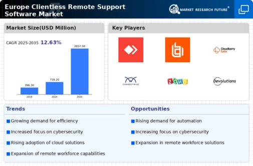 Europe Clientless Remote Support Software Market Infographic