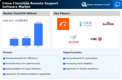 China Clientless Remote Support Software Market Infographic