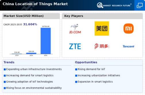 China Location Of Things Market Infographic