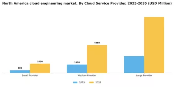North America Cloud Engineering Market Segment Image 0
