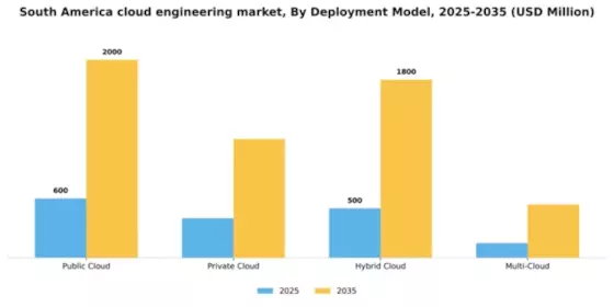 South America Cloud Engineering Market Segment Image 1