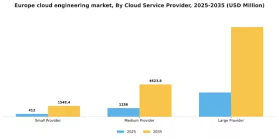 Europe Cloud Engineering Market Segment Image 0