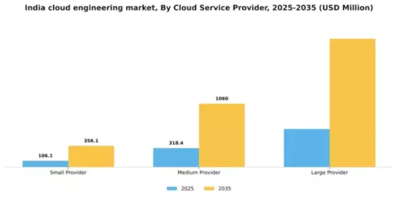 India Cloud Engineering Market Segment Image 0