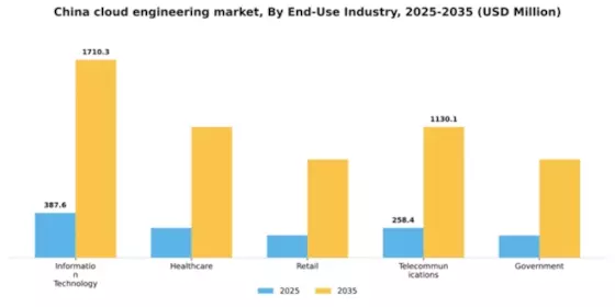 China Cloud Engineering Market Segment Image 2