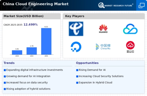 China Cloud Engineering Market Infographic