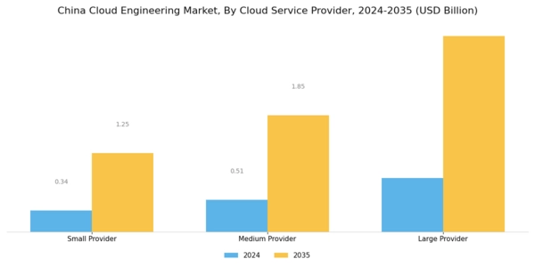 China Cloud Engineering Market Segment Image 3