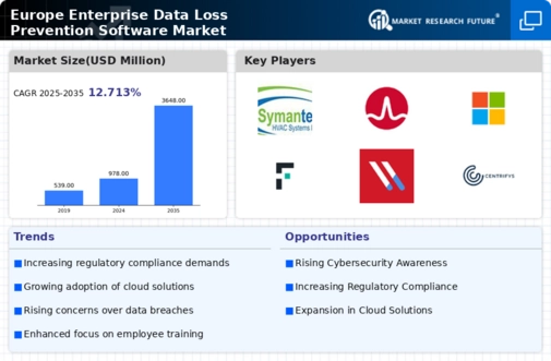 Europe Enterprise Data Loss Prevention Software Market Infographic