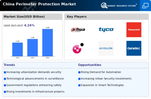 China Perimeter Protection Market Infographic