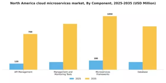 North America Cloud Microservices Market Segment Image 0