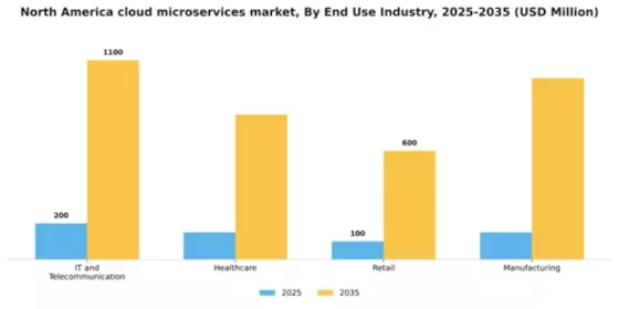North America Cloud Microservices Market Segment Image 2