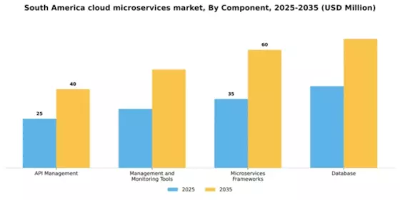 South America Cloud Microservices Market Segment Image 0