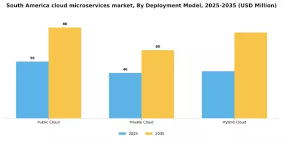 South America Cloud Microservices Market Segment Image 1