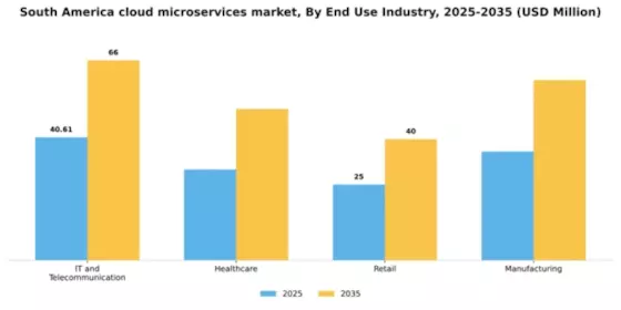 South America Cloud Microservices Market Segment Image 2
