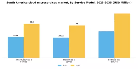South America Cloud Microservices Market Segment Image 3