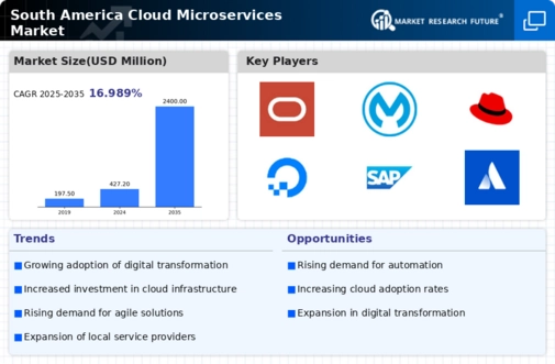 South America Cloud Microservices Market Infographic