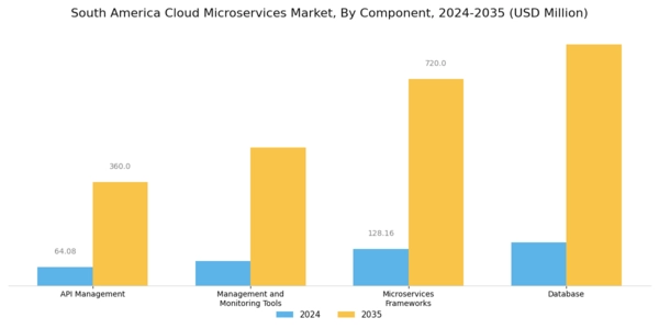 South America Cloud Microservices Market Segment Image 2