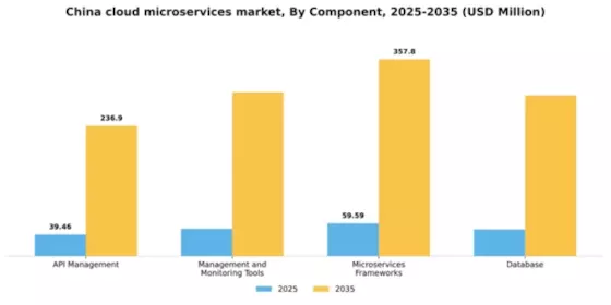 China Cloud Microservices Market Segment Image 0