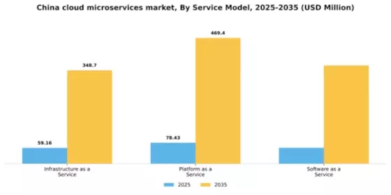 China Cloud Microservices Market Segment Image 3