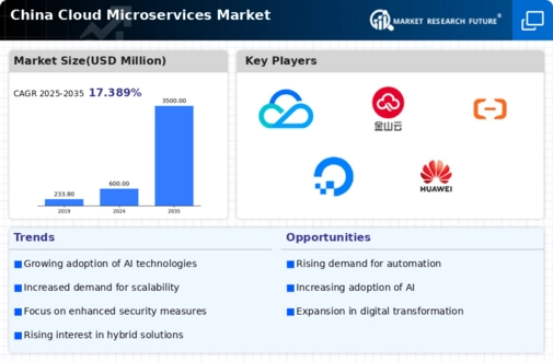 China Cloud Microservices Market Infographic