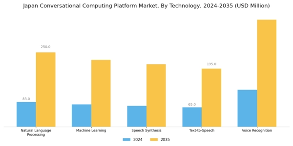 Japan Conversational Computing Platform Market Segment Image 3