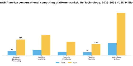 South America Conversational Computing Platform Market Segment Image 3