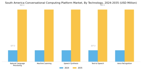South America Conversational Computing Platform Market Segment Image 3