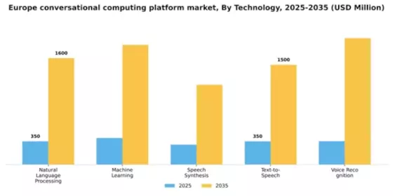 Europe Conversational Computing Platform Market Segment Image 3