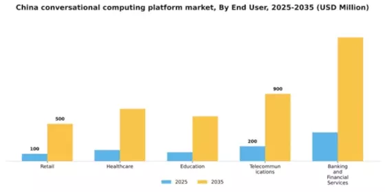 China Conversational Computing Platform Market Segment Image 2