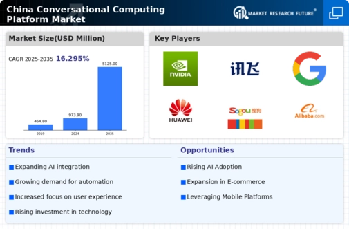 China Conversational Computing Platform Market Infographic