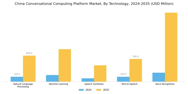 China Conversational Computing Platform Market Segment Image 3