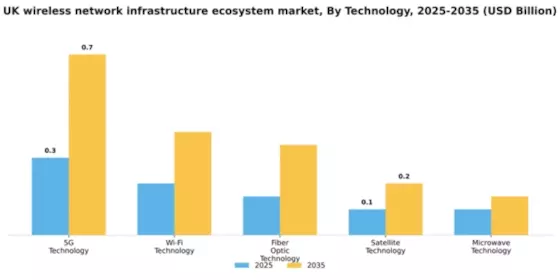 UK Wireless Network Infrastructure Ecosystem Market Segment Image 3