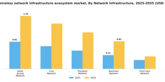 Japan Wireless Network Infrastructure Ecosystem Market Segment Image 2