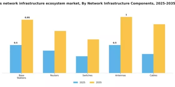 Japan Wireless Network Infrastructure Ecosystem Market Segment Image 2