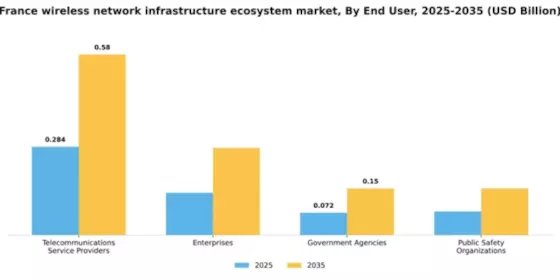 France Wireless Network Infrastructure Ecosystem Market Segment Image 1