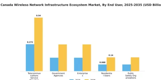 Canada Wireless Network Infrastructure Ecosystem Market Segment Image 0