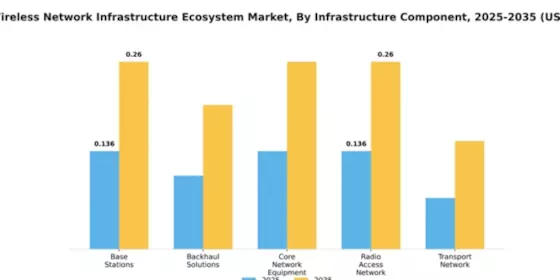 Italy Wireless Network Infrastructure Ecosystem Market Segment Image 1