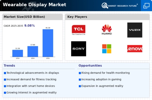 Wearable Display Market Infographic