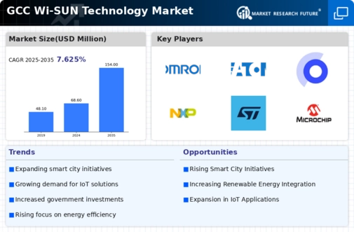 GCC Wi Sun Technology Market Infographic