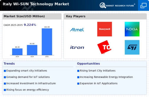 Italy Wi Sun Technology Market Infographic