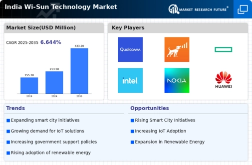 India Wi Sun Technology Market Infographic