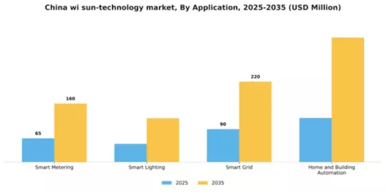 China Wi Sun Technology Market Segment Image 0